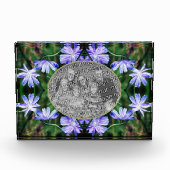 青い野生のチコリーの花のフレームを追加 フォトブロック (正面)