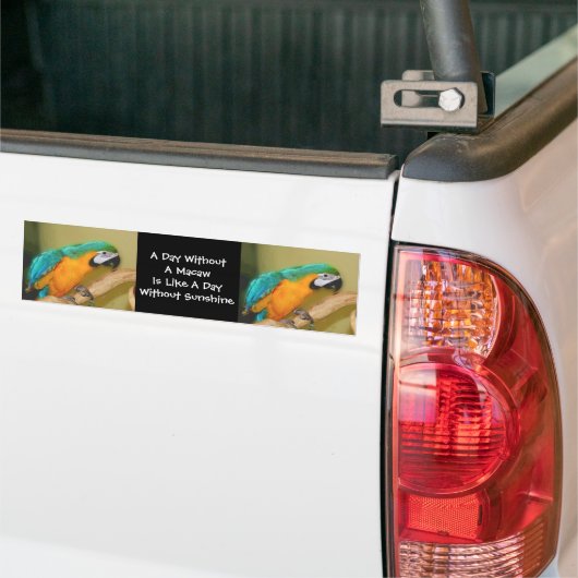 青い金ゴールドのコンゴウインコのオウムのかわいいバンパーステッカー バンパーステッカー (トラック上)