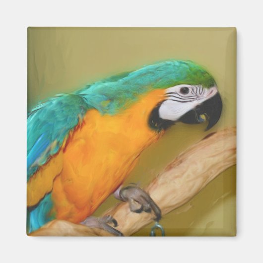 青い金ゴールドのコンゴウインコのオウムの絵画の磁石 マグネット (正面)