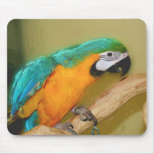 青い金ゴールドのコンゴウインコのオウムの絵画動物のマウスパッド マウスパッド