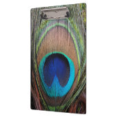 青い銅の孔雀の羽のクローズアップ クリップボード (左)