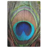 青い銅の孔雀の羽のクローズアップ クリップボード (裏面)