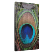 青い銅の孔雀の羽のクローズアップ クリップボード (右)