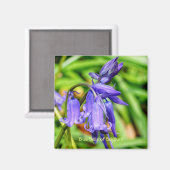 青い鐘形の花 マグネット (正面/裏面)