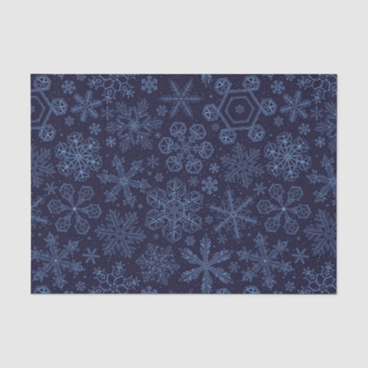 青い雪の上の青 薄葉紙 (正面)