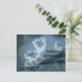 青い雪 ポストカード (スタンド正面)