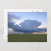 青い雷頭 ポストカード (正面/裏面)