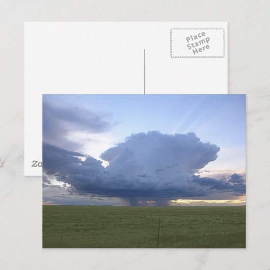 青い雷頭 ポストカード (正面/裏面)