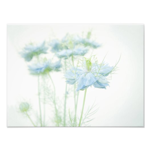 青い霞（大） フォトプリント            (正面)