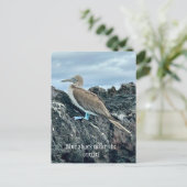 青い靴の鳥 ポストカード (スタンド正面)