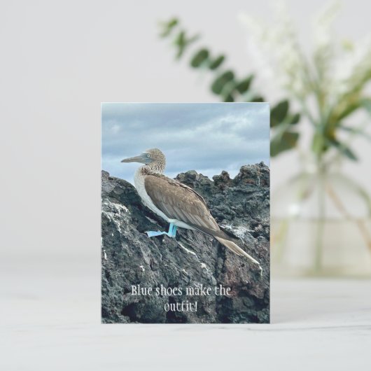 青い靴の鳥 ポストカード (スタンド正面)
