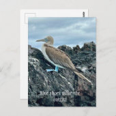 青い靴の鳥 ポストカード (正面/裏面)