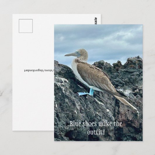 青い靴の鳥 ポストカード (正面/裏面)