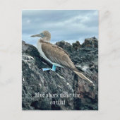 青い靴の鳥 ポストカード (正面)