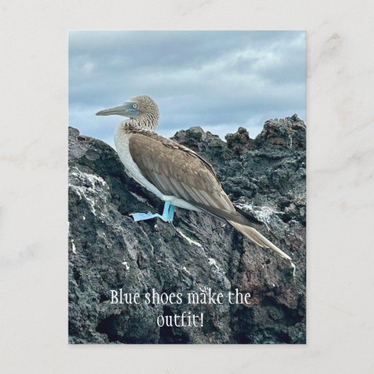 青い靴の鳥 ポストカード (正面)