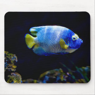 青い顔のアンゲラフィッシュ、魚、水中 マウスパッド