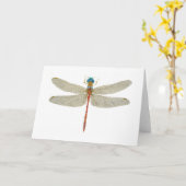 青い顔のメドウワクドラゴンフライ カード (黄色い花)