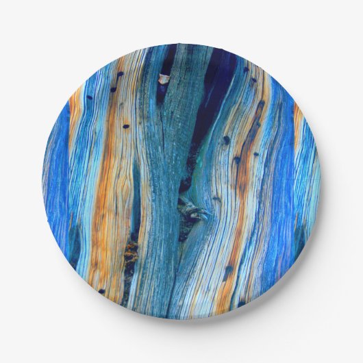 青い風化した納屋の板 ペーパープレート (正面)