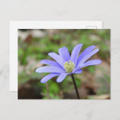青い風花 ポストカード (正面/裏面)