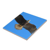 青い飛んでいる野生動物の贈り物にハゲのワシ タイル (側面)