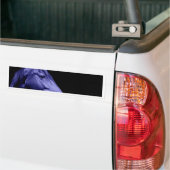 青い馬のデザイン バンパーステッカー (トラック上)