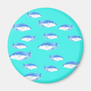 青い魚オンターコイズ マグネット