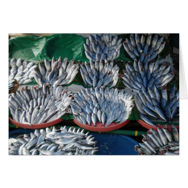 青い魚 (正面横)