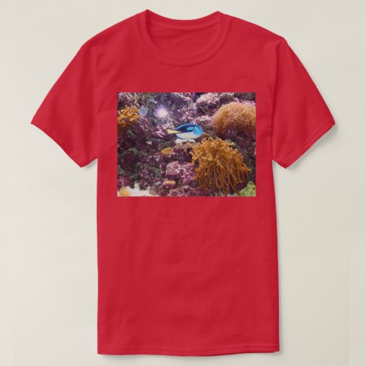 青い魚3 Tシャツ (デザイン正面)