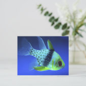 青い魚 ポストカード (スタンド正面)