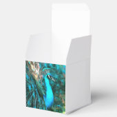 青い鮮やか孔雀が尾を扇いで入る フェイバーボックス (オープン)