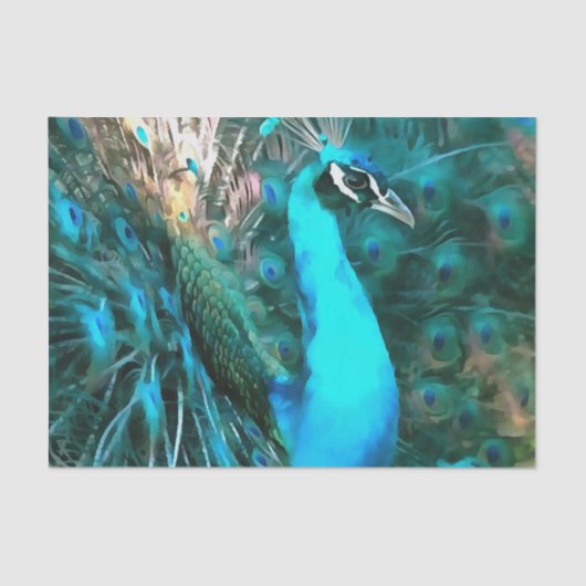 青い鮮やか孔雀が尾を扇いで入る 薄葉紙 (正面)