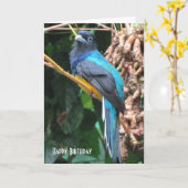 青い鳥と長い尾の誕生日挨拶 カード (黄色い花)