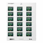 青い鳥のいる冬の風景 ギフトタグ ラベル (フルシート)