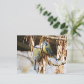 青い鳥のペアはがき ポストカード (スタンド正面)