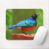 青い鳥のマウスパッド マウスパッド (マウス)