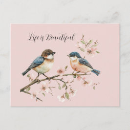青い鳥の桜 ポストカード