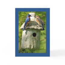 青い鳥の記念日カード