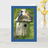 青い鳥の記念日カード カード (黄色い花)