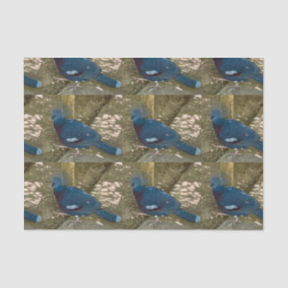 青い鳥ティッシュペーパー 薄葉紙