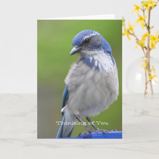 青い鳥 カード (黄色い花)