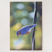 青い鳥 ジグソーパズル (縦)