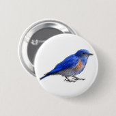青い鳥(ブルーバード)の元のスケッチ 缶バッジ (正面&裏面)