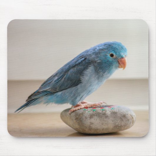 青い鳥 マウスパッド (正面)