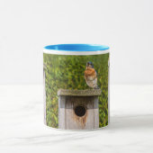 青い鳥 マグカップ (中央)