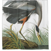 青い鷲の鳥のAudubonの野性生物のシャワー・カーテン シャワーカーテン (正面)