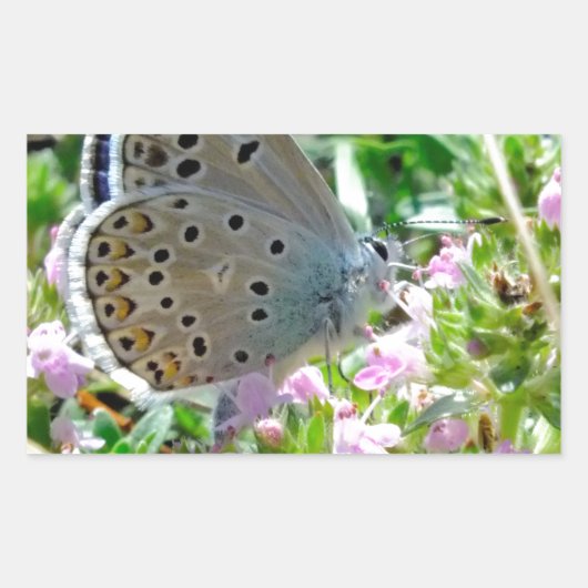 青い黄色と黒い斑点の花の蝶 長方形シール (正面)