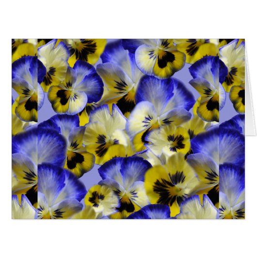 青い黄色のパナジーの花 (正面横)