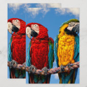 青い黄色のマカオと赤いマカオ 招待状 (正面/裏面)