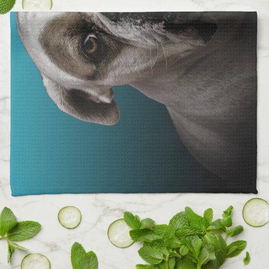 青い黒のグラデーションの背景を持つ可愛いボクサー犬 キッチンタオル (折り畳み)