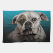 青い黒のグラデーションの背景を持つ可愛いボクサー犬 キッチンタオル (横)